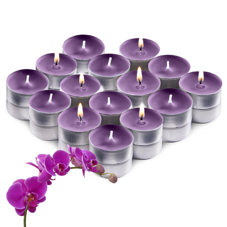 Scented Tealight Candles, Wild Orchid, 30 Pack